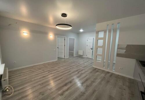Rénovation de Salon